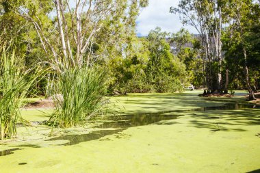 Avustralya 'daki Hartley Timsah Maceraları