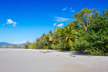 Queensland Avustralya 'daki Thornton Plajı