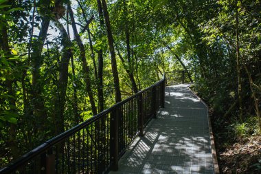 Avustralya 'da Cape Tribulation Plajı