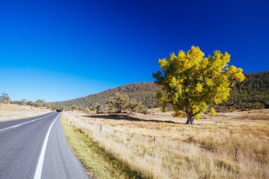Avustralya 'daki Karlı Dağlar Manzarası