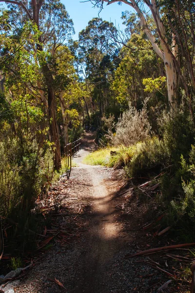 Thredo Valley Track en Nueva Gales del Sur Australia — Foto de Stock