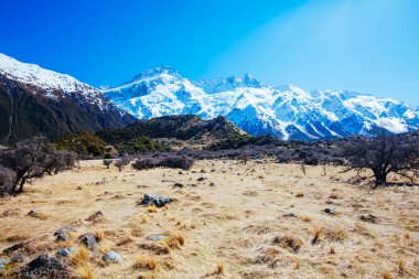 Yeni Zelanda 'daki Aşçı Dağı' nda Fahişe Vadisi Pisti