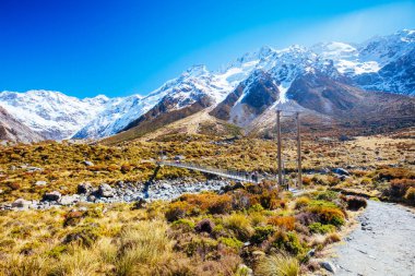 Yeni Zelanda 'daki Aşçı Dağı' nda Fahişe Vadisi Pisti