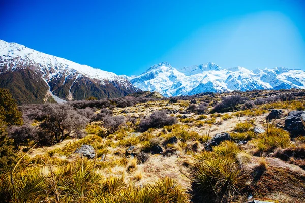 Hooker Valley Track op Mt Cook in Nieuw-Zeeland — Stockfoto
