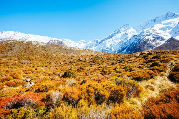 Hooker Valley Track op Mt Cook in Nieuw-Zeeland — Stockfoto