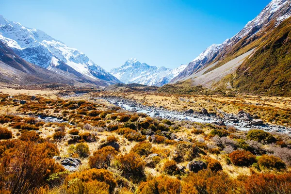 Hooker Valley Track на сайті Mt Cook — стокове фото