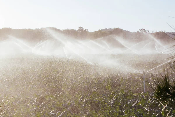 Pulverizadores de cultivos en acción en Australia — Foto de Stock