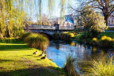 Avon Nehri Yeni Zelanda 'da Christchurch Manzarası