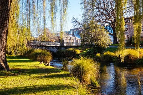 Vistas del río Avon en Christchurch Nueva Zelanda —  Fotos de Stock