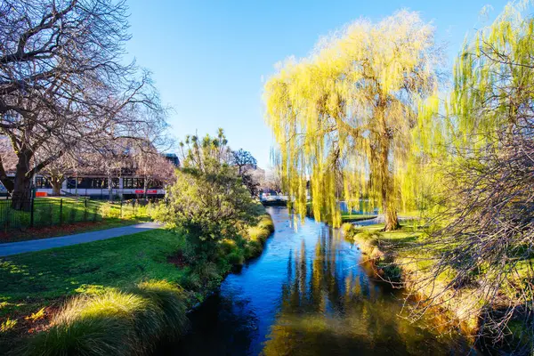 Vista sul fiume Avon Christchurch Nuova Zelanda — Foto Stock
