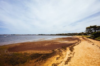 Avustralya 'nın Rhyll kasabası