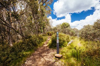Yaz aylarında Buller Dağı Yürüyüşü ve Bisiklet Yolları