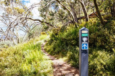 Yaz aylarında Buller Dağı Yürüyüşü ve Bisiklet Yolları