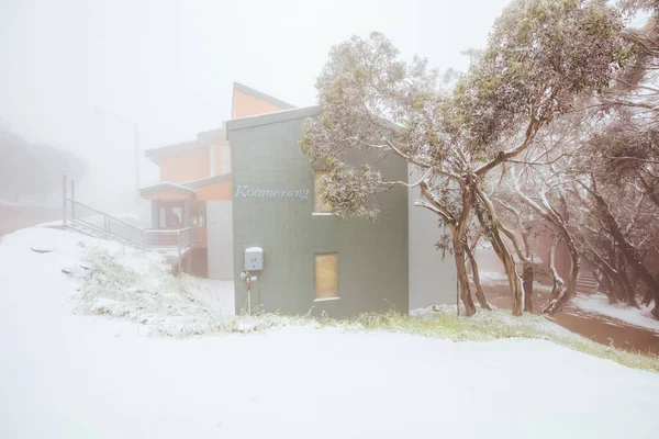 Tempestade de neve no verão australiano em Mt Buller — Fotografia de Stock