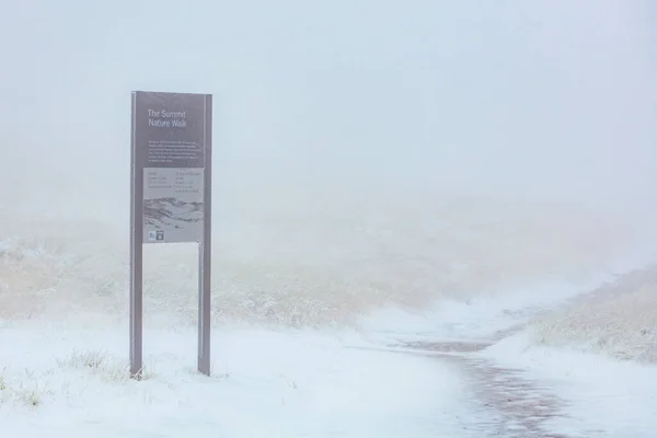 Australische zomer sneeuwstorm op Mount Buller — Stockfoto