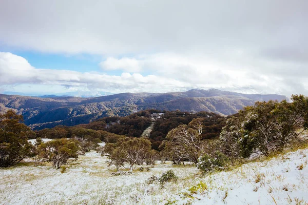 불러 산에 닥친 오스트레일리아 의 여름 눈 폭풍 — 스톡 사진