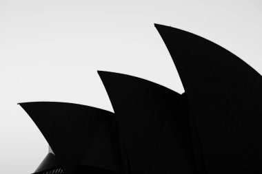 Avustralya 'da Gündoğumunda Sydney Opera Binası