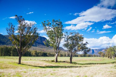 Avustralya 'daki Avcı Vadisi manzarası