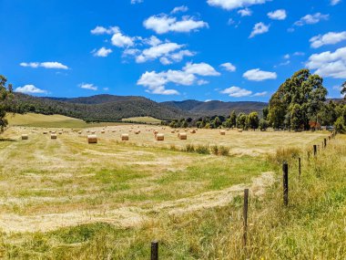 Avustralya 'da Viktorya Kırsal Bölgesi