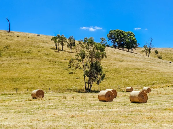 País rural victoriano en Australia —  Fotos de Stock