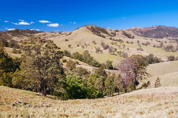 Hunter Valley Landscape in Australia — Stock Photo, Image