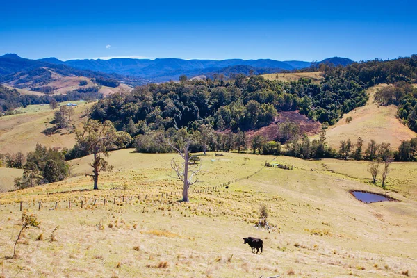 Hunter Valley Landschap in Australië — Stockfoto