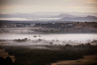 Avustralya 'da Gündoğumunda Avcı Vadisi Sisi