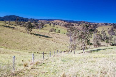 Avustralya 'daki Avcı Vadisi manzarası