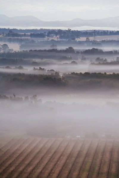 Hunter Valley Fog at Sunrise in Australia