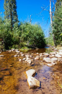 Taggerty Nehri, Marysville Avustralya yakınlarında.
