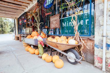 Minkler USA 'da dükkan