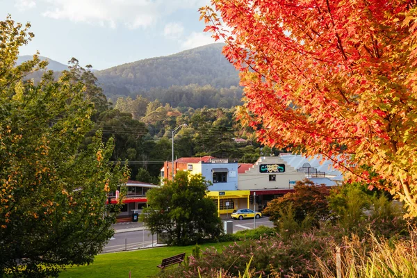 Autumn Foliage in Warburton Australia — Stock Photo, Image