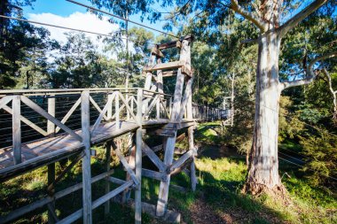 Warburton Avustralya 'da Yarra Nehri Manzarası