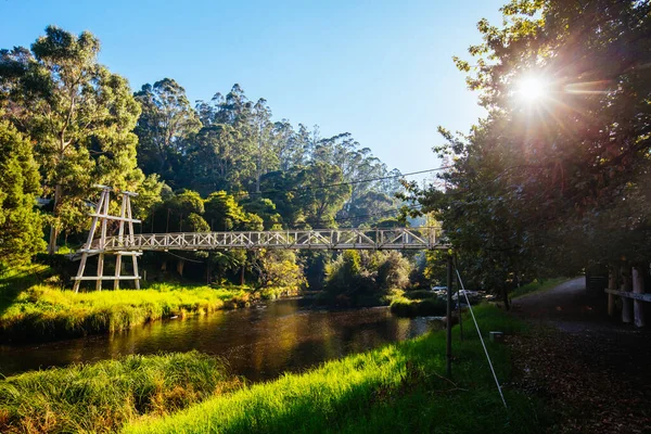 Most huśtawkowy w Warburton Australia — Zdjęcie stockowe