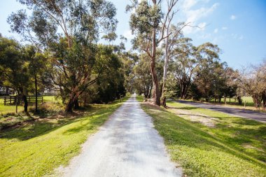 Lilydale 'den Avustralya' daki Warburton Demiryolu 'na