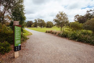 Avustralya 'da Lilydale Gölü ve Oyun Bahçesi