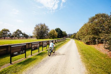 Lilydale 'den Avustralya' daki Warburton Demiryolu 'na