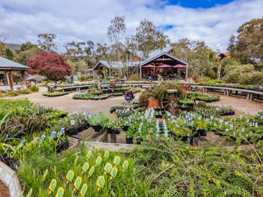 Avustralya 'daki Kuranga Çocuk Yuvası