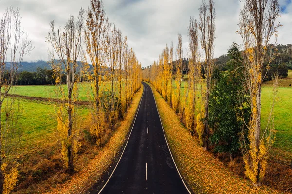 Gould Memorial Drive i Marysville i Australien — Stockfoto