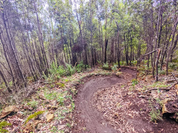 Lake Mountain Bike Park v Austrálii — Stock fotografie