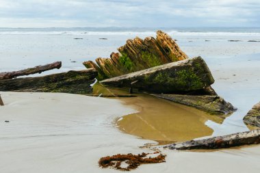 Inverloch Avustralya 'daki Amazon Gemi Enkazı