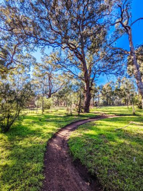 Melbourne Avustralya 'da Yarra Patikaları