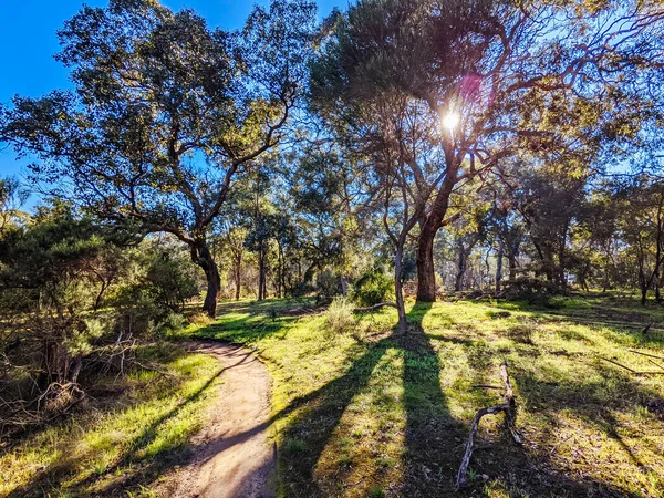 Yarra Trails à Melbourne Australie — Photo