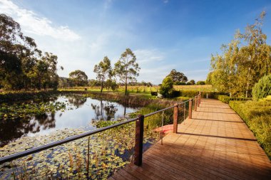 Avustralya 'daki Yarra Vadisi Üzüm bağı