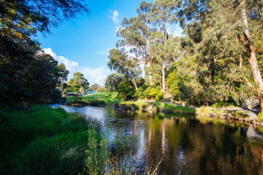 Warburton Avustralya 'da Yarra Nehri Manzarası