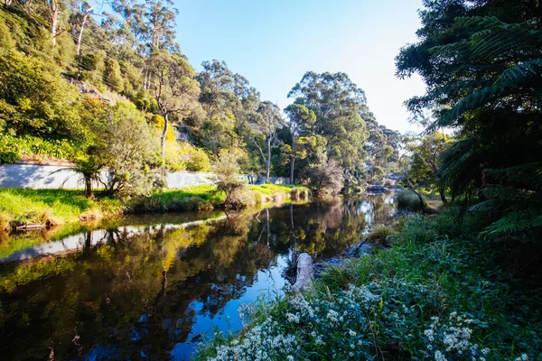 Yarra River View in Warburton Australië — Stockfoto