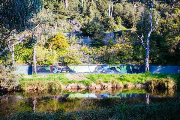 Yarra River View in Warburton Australië — Stockfoto