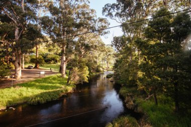 Warburton Avustralya 'da Yarra Nehri Manzarası
