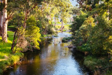 Warburton Avustralya 'da Yarra Nehri Manzarası