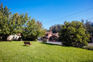 Warburton Avustralya 'da Sonbahar Yaprağı